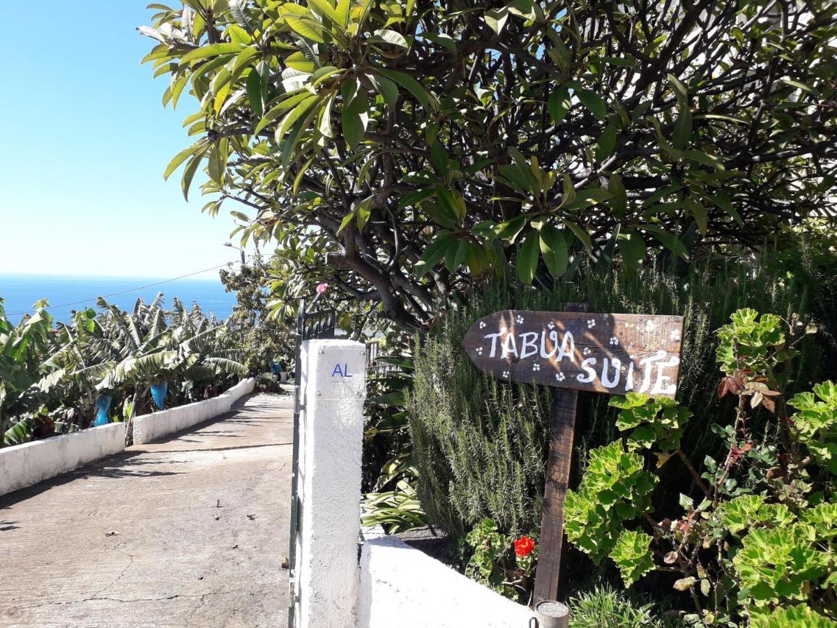 Tabua Village Nature Lovers & Sea #5 里贝拉布拉瓦 外观 照片